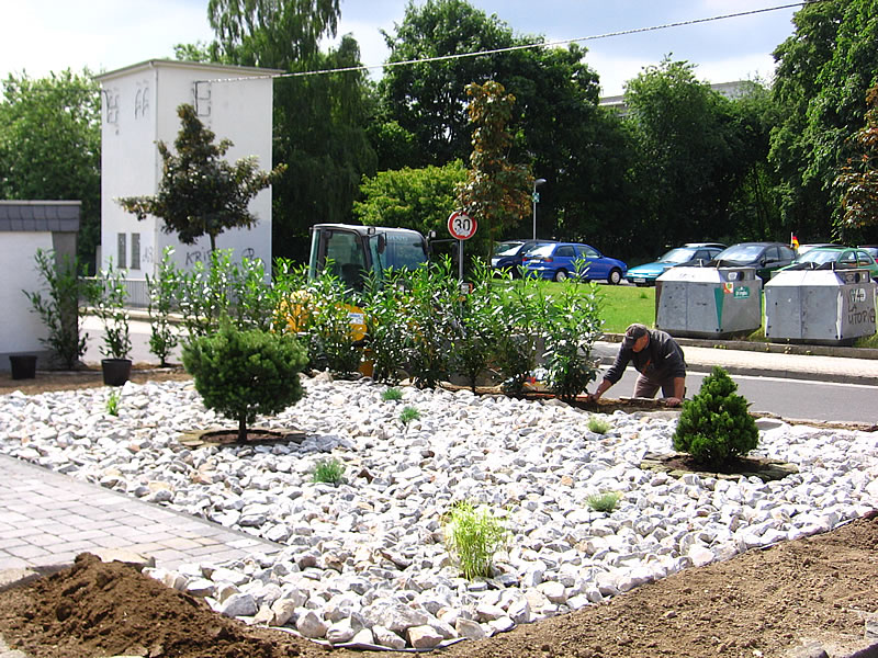 Garten & Landschaftsbau Dirk Mohr